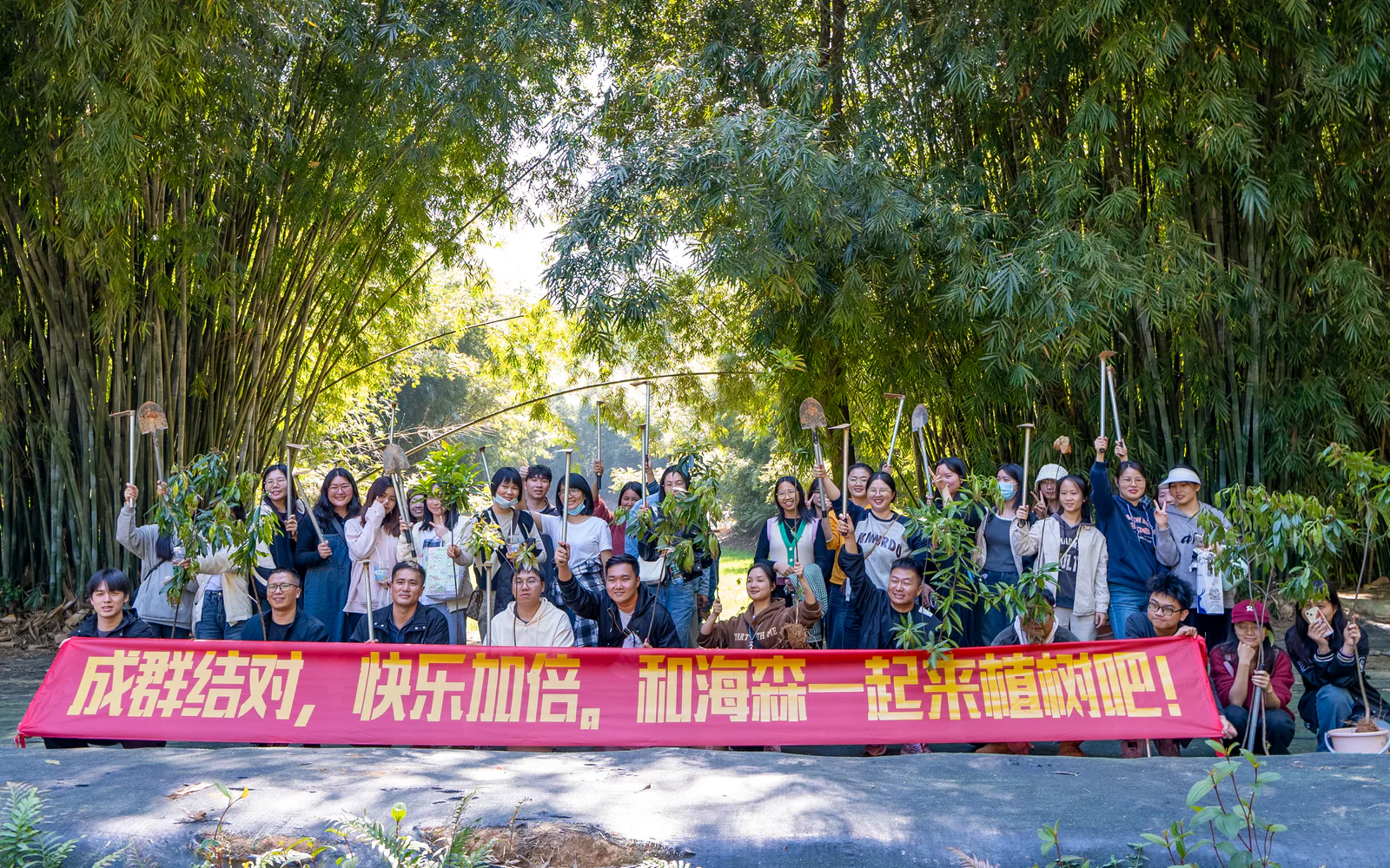 春日添新绿,共植美好未来|海森开展白云山植树公益活动